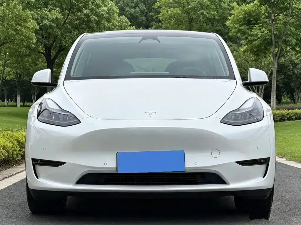 Tesla Model Y — фото 8