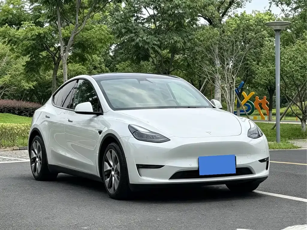 Tesla Model Y — фото 10
