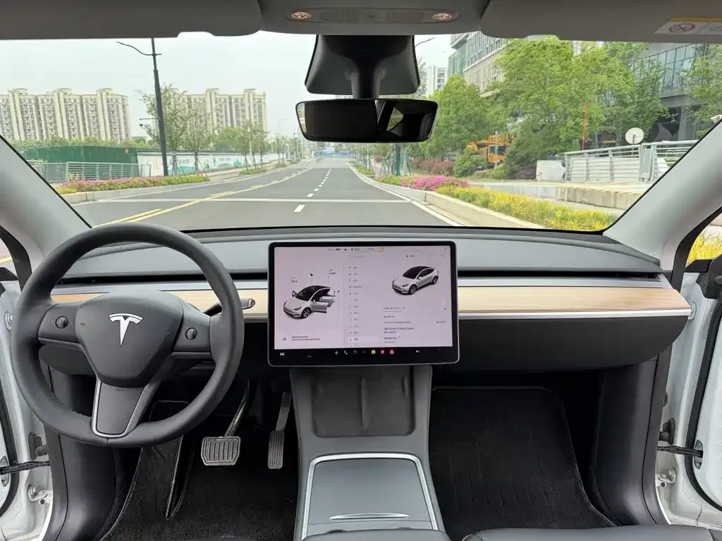 Tesla Model Y — фото 4