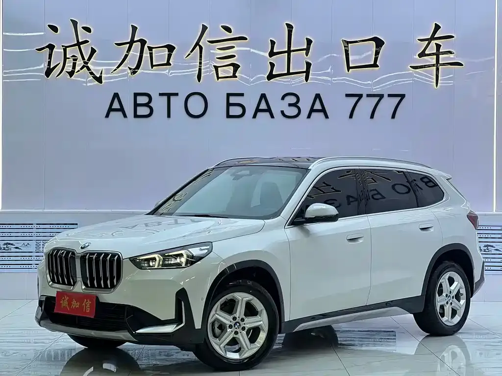 BMW X1 — фото 1