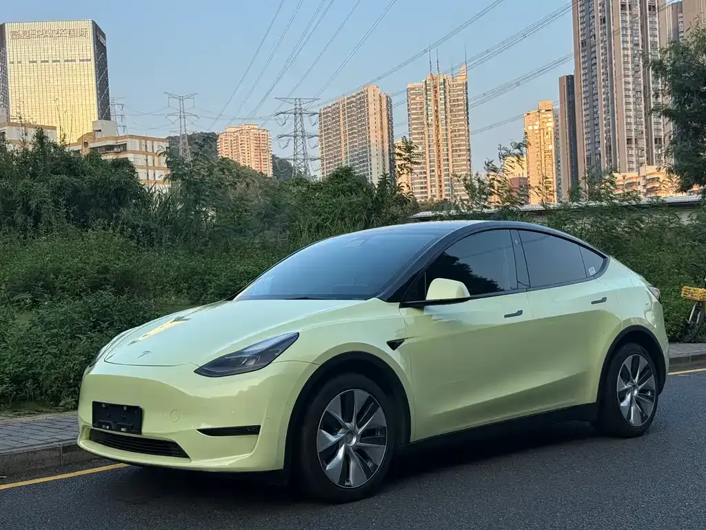 Tesla Model Y — фото 1