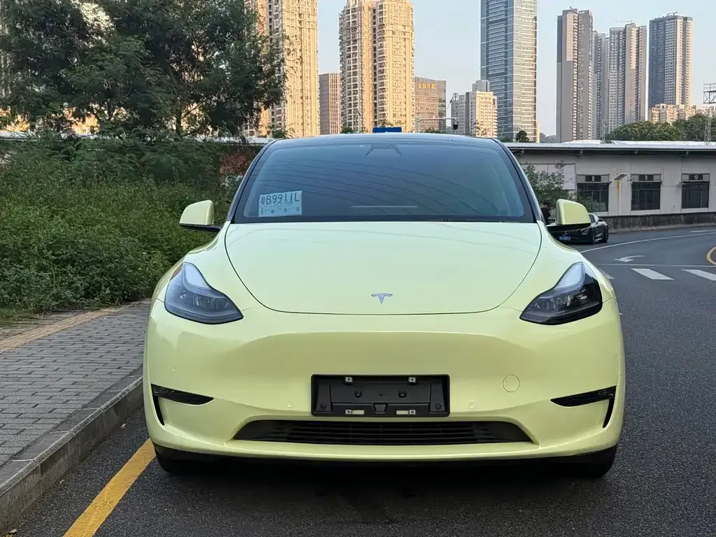 Tesla Model Y — фото 5