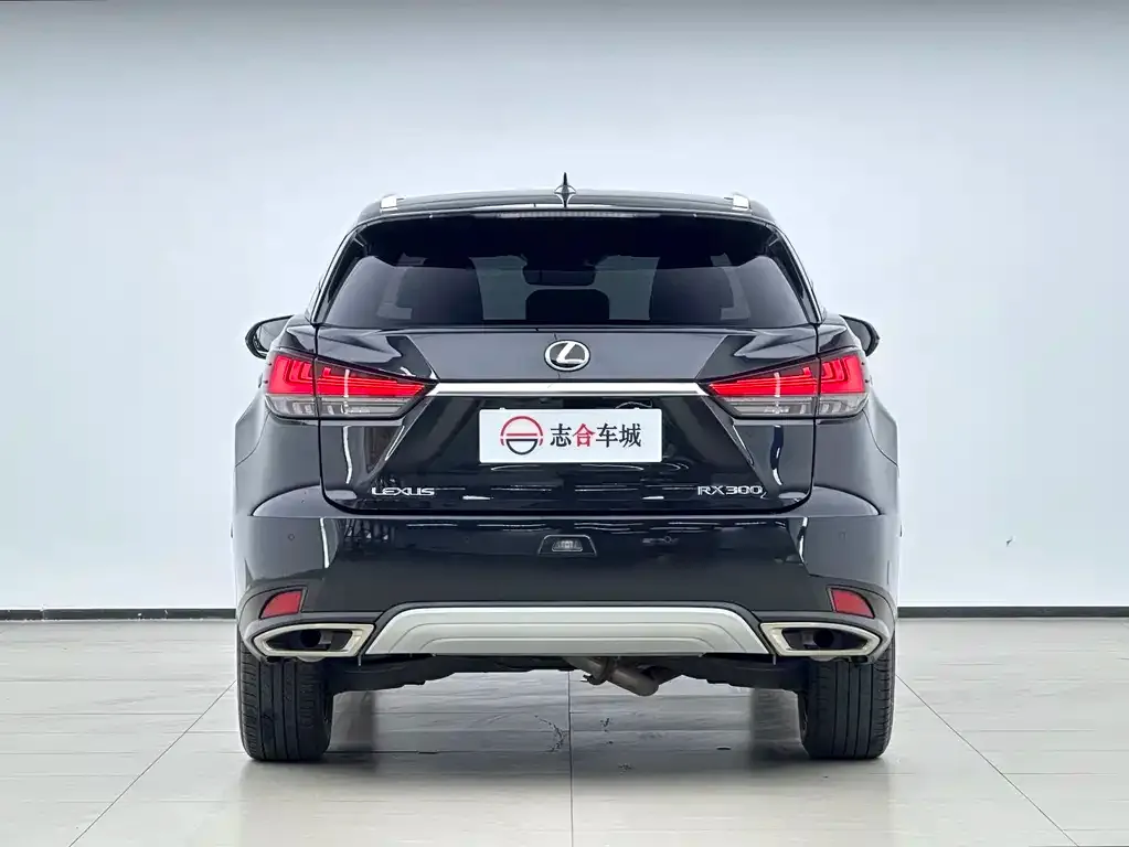 Lexus RX — фото 5