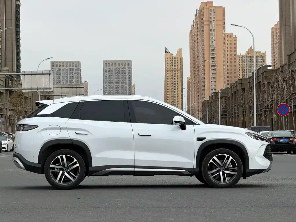 BYD L DM-i — фото 6