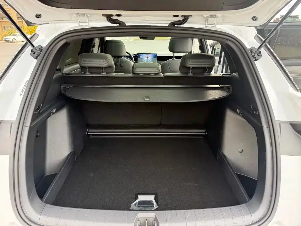 BYD L DM-i — фото 8