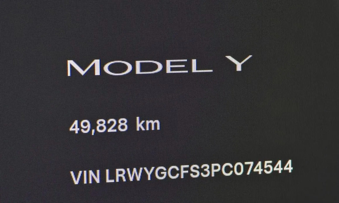 Tesla Model Y — фото 10