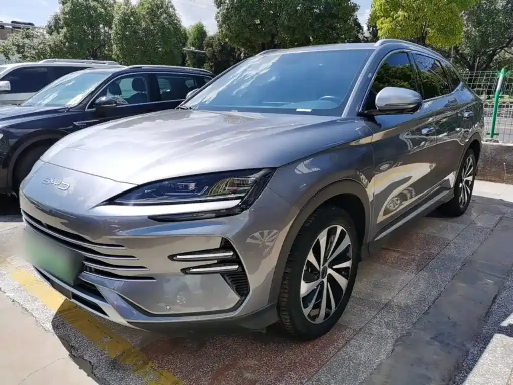 BYD PLUS New Energy — фото 1