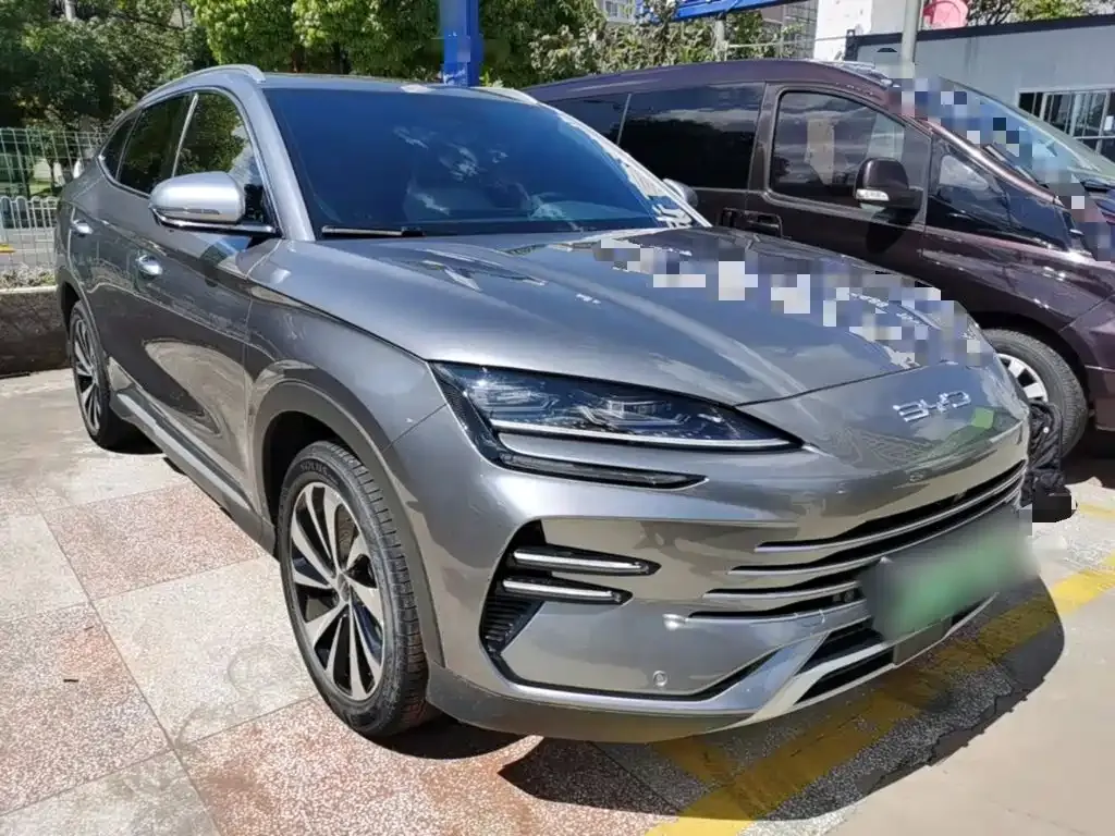 BYD PLUS New Energy — фото 8