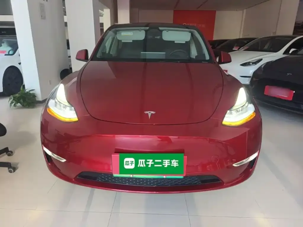 Tesla Model Y — фото 10