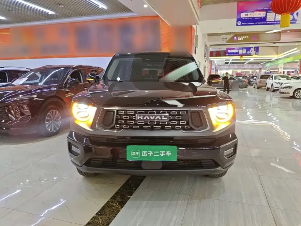 Haval Big Dog PLUS — фото 8