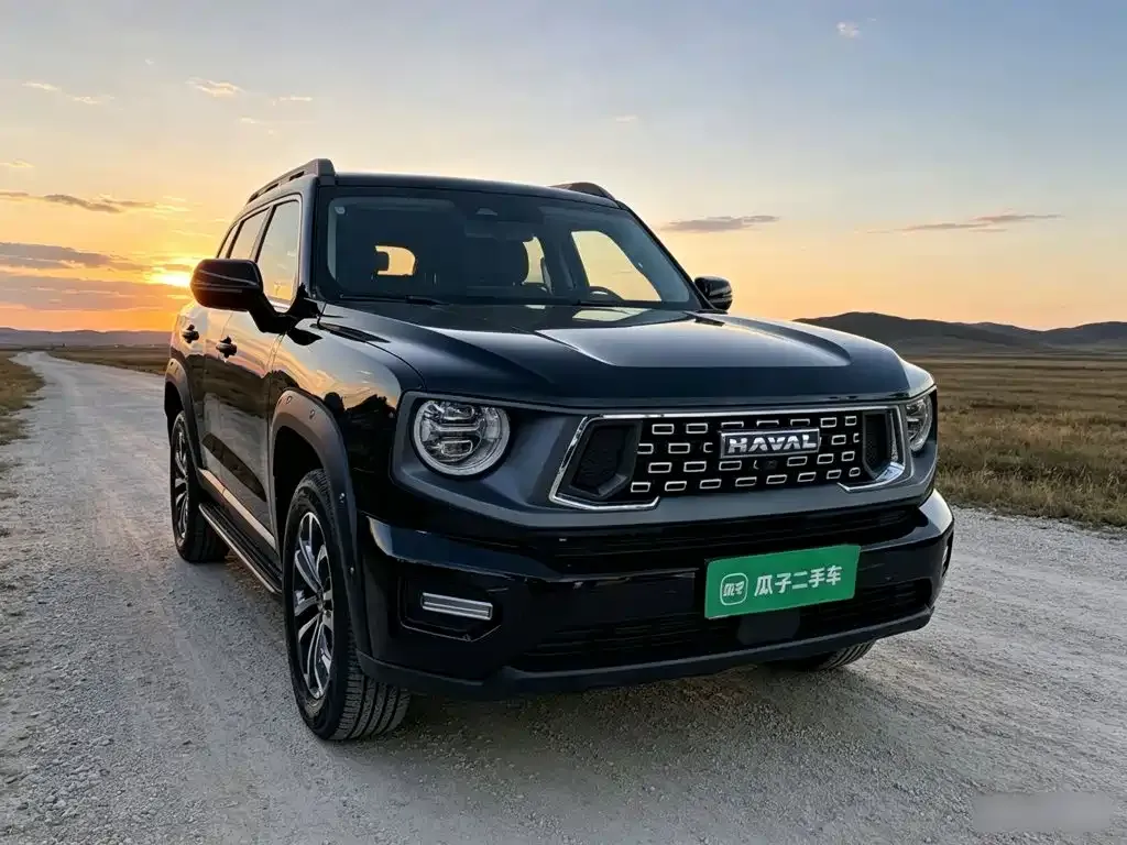 Haval Big Dog PLUS — фото 7