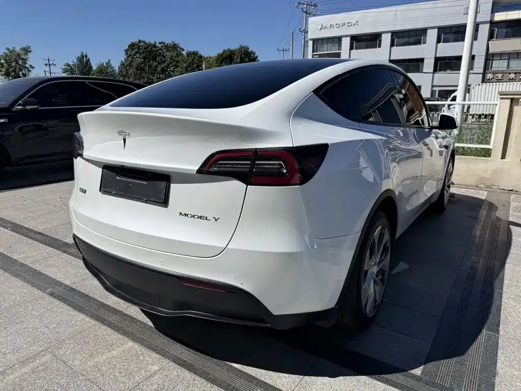 Tesla Model Y — фото 6