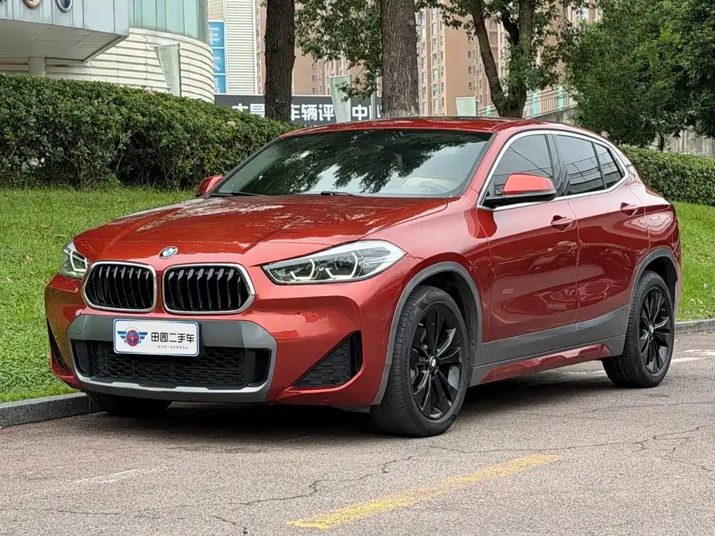 BMW X2 — фото 1