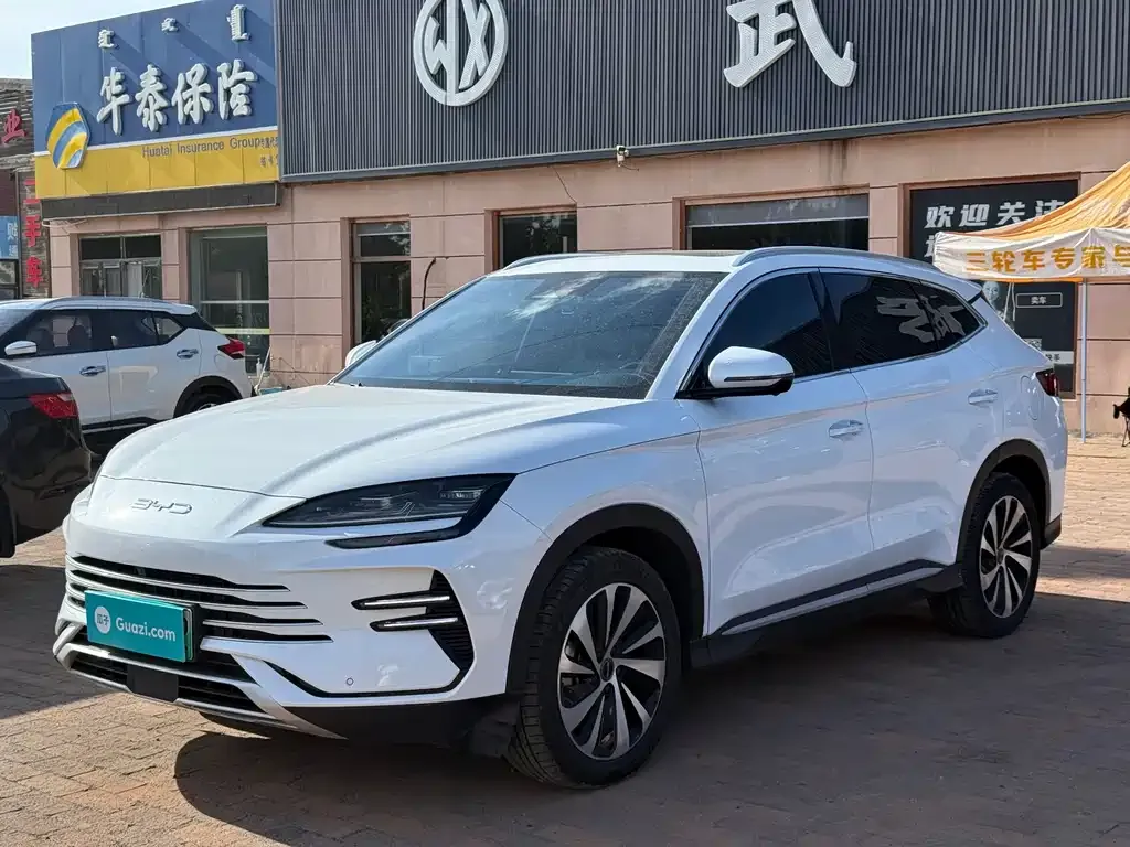 BYD PLUS New Energy — фото 1