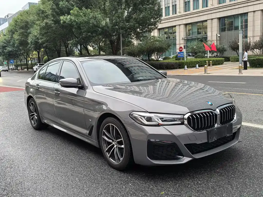 BMW 5 Series (Import) — фото 10