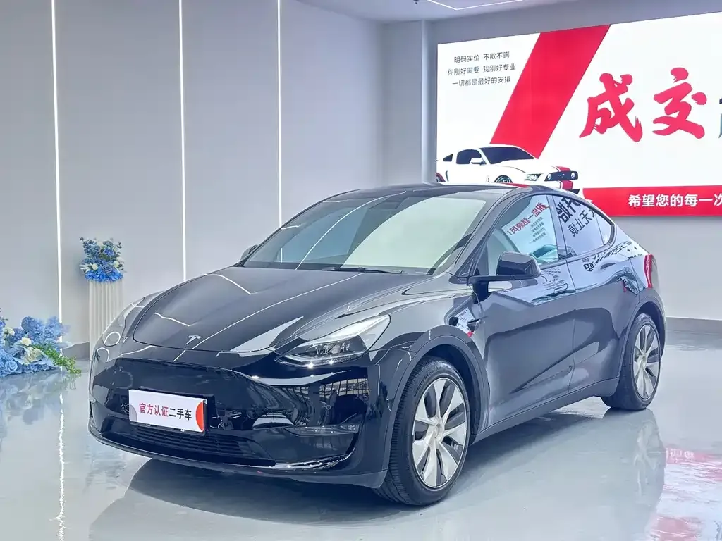 Tesla Model Y — фото 1