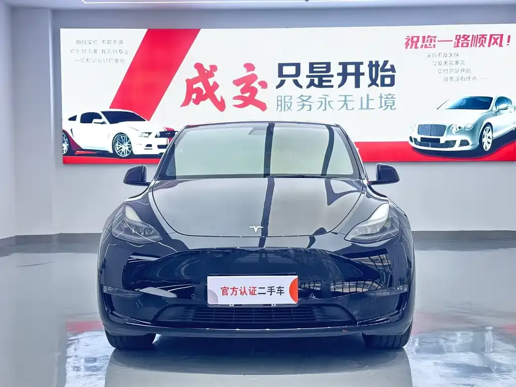 Tesla Model Y — фото 2