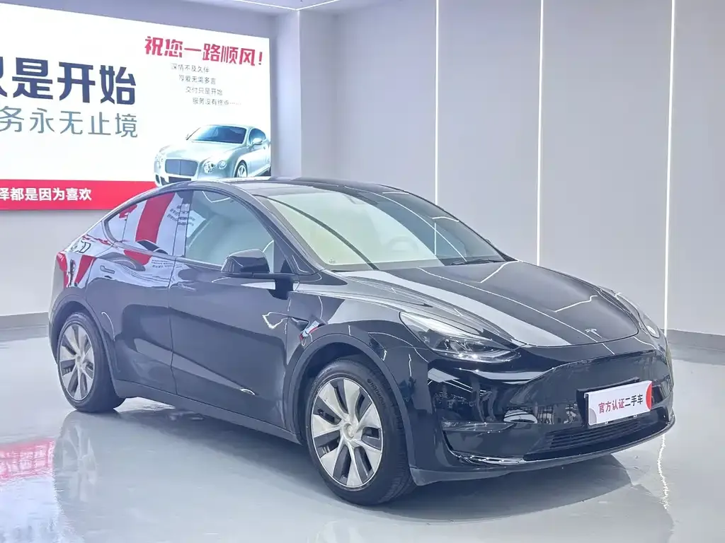 Tesla Model Y — фото 4