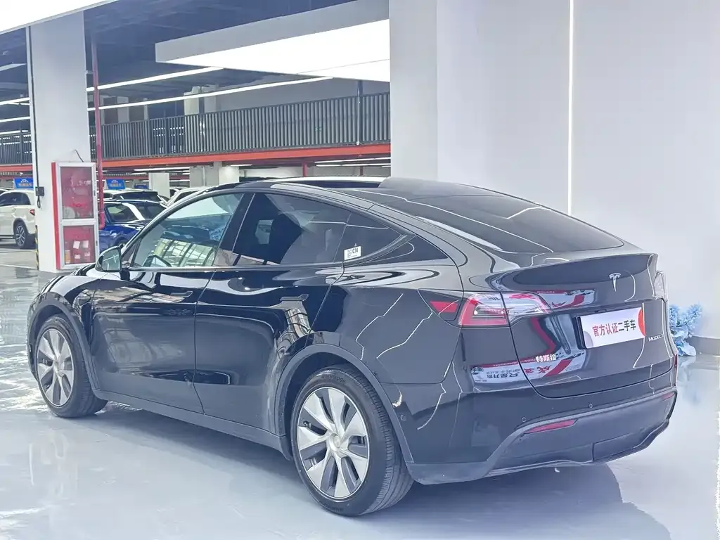 Tesla Model Y — фото 8