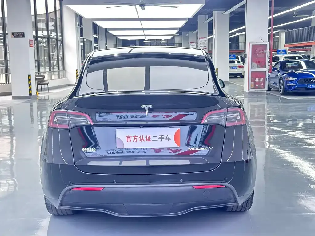 Tesla Model Y — фото 9