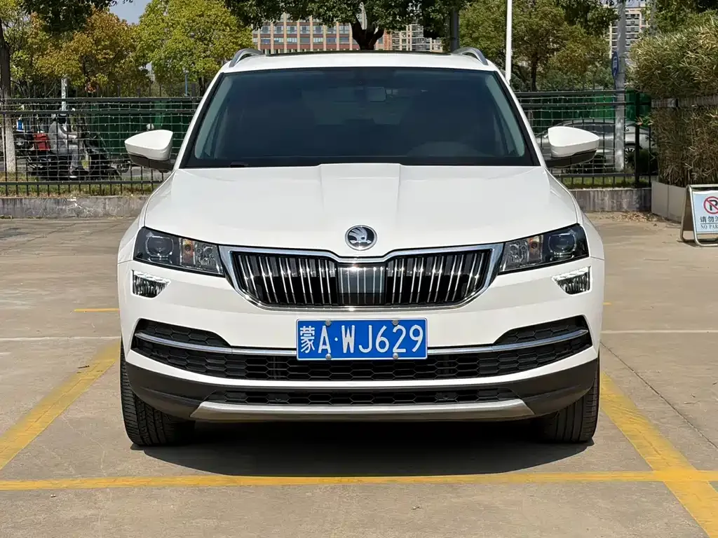 Skoda Karoq — фото 10