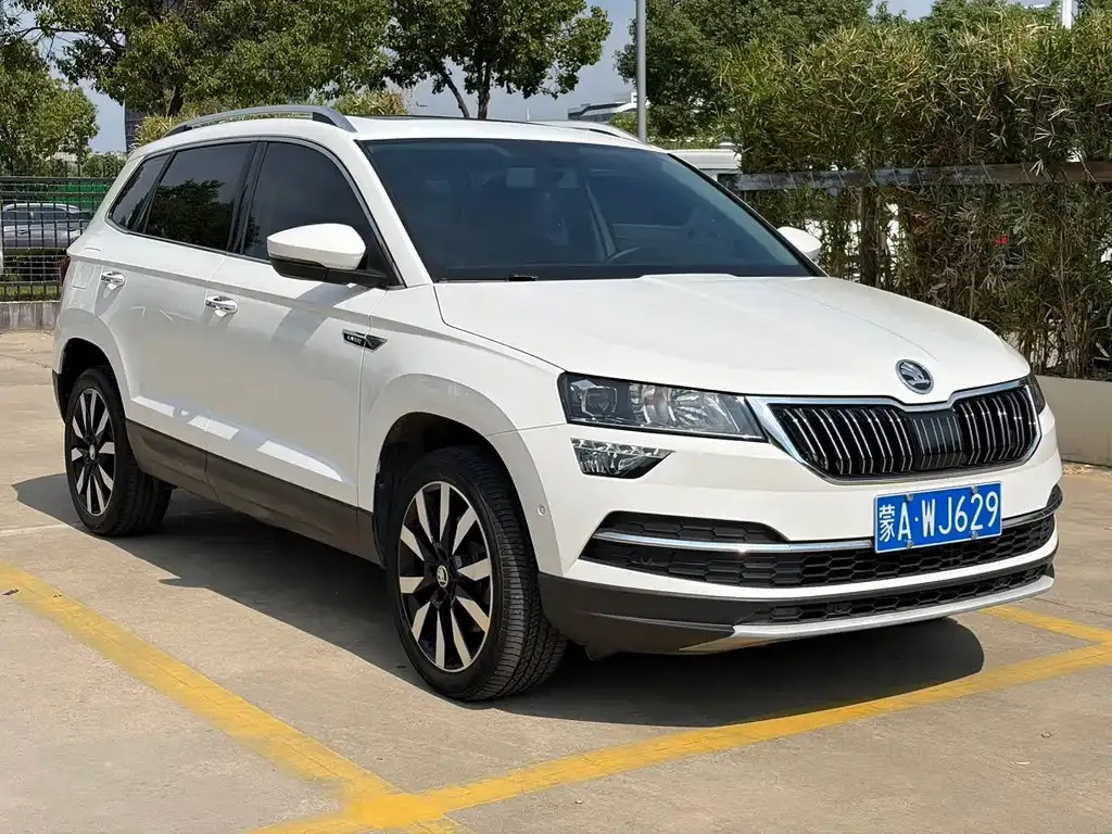 Skoda Karoq — фото 3