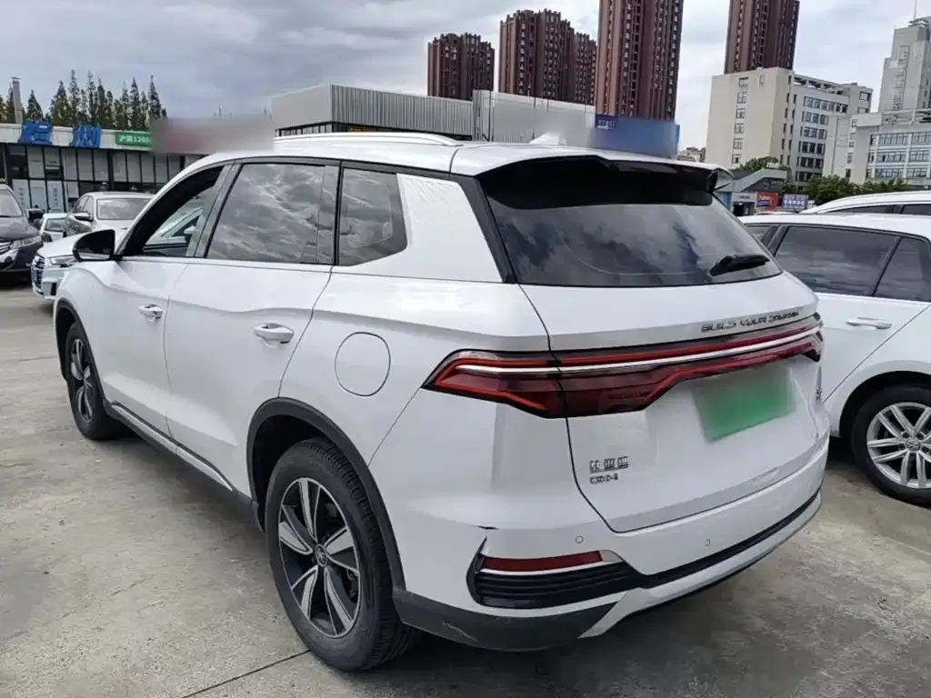 BYD Pro New Energy — фото 10