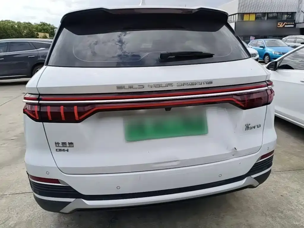 BYD Pro New Energy — фото 7