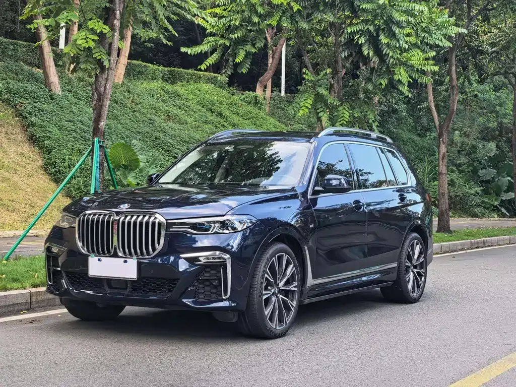 BMW X7 — фото 1