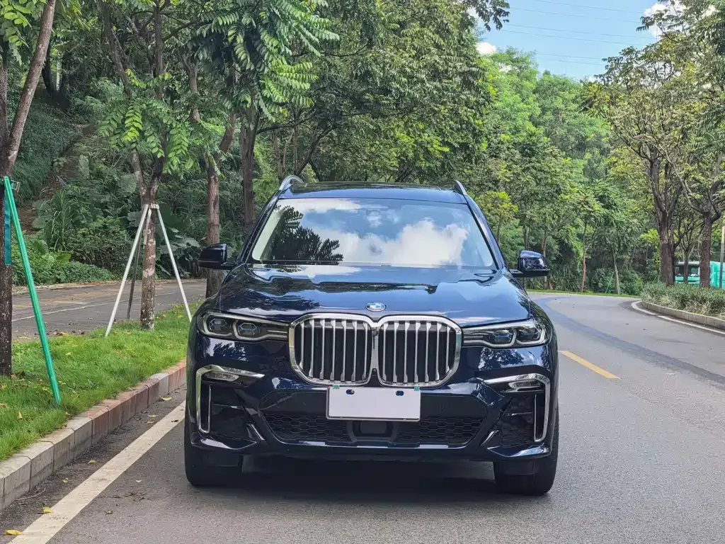 BMW X7 — фото 5