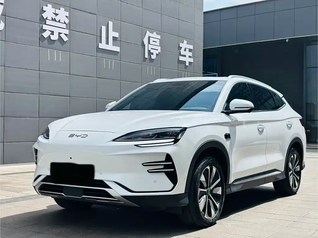 BYD PLUS New Energy — фото 1
