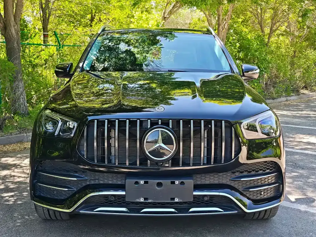 Mercedes-Benz GLE (Import) — фото 8