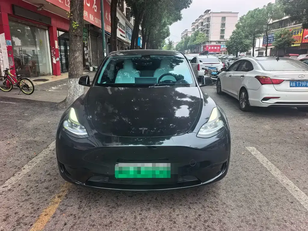 Tesla Model Y — фото 1