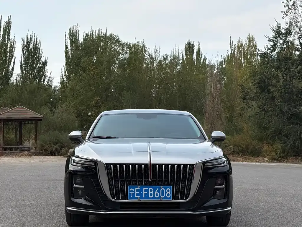 Hongqi H5 — фото 6