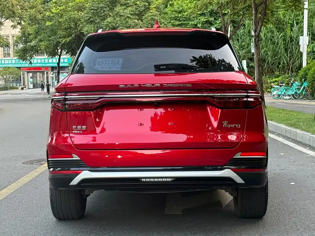 BYD Pro New Energy — фото 10