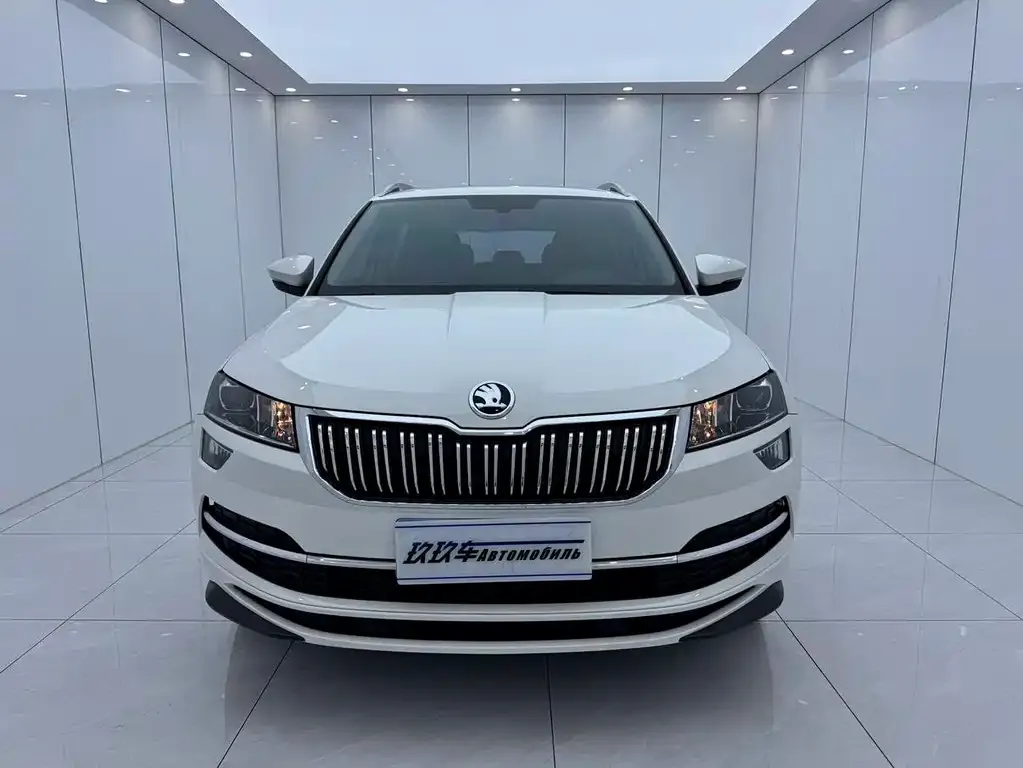 Skoda Karoq — фото 5