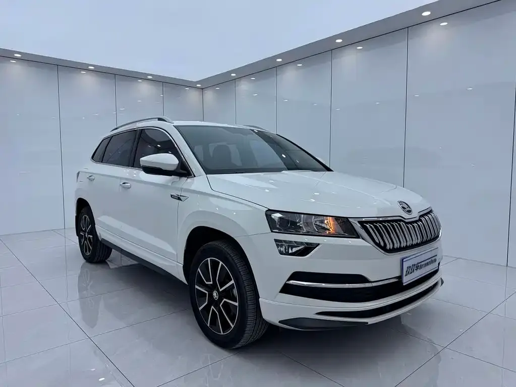 Skoda Karoq — фото 8
