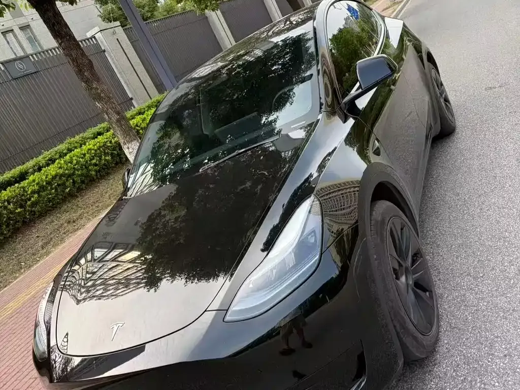 Tesla Model Y — фото 1