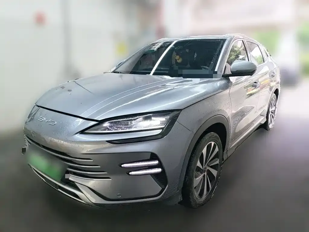 BYD PLUS New Energy — фото 1