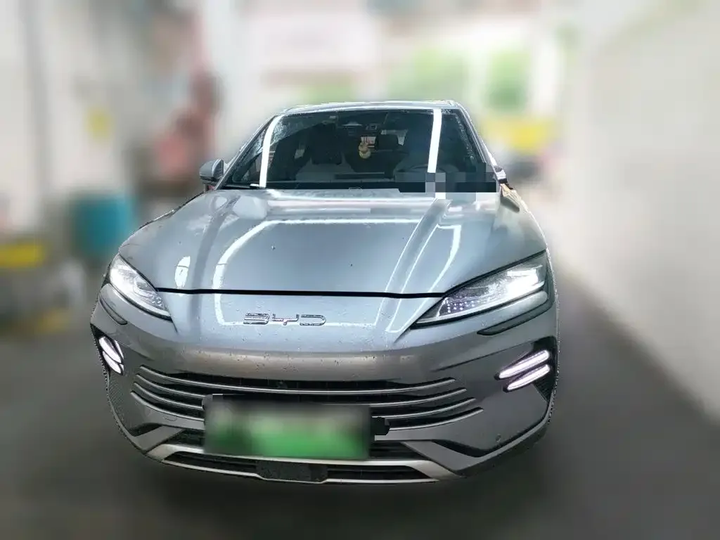 BYD PLUS New Energy — фото 2