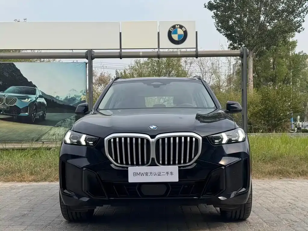 BMW X5 — фото 9