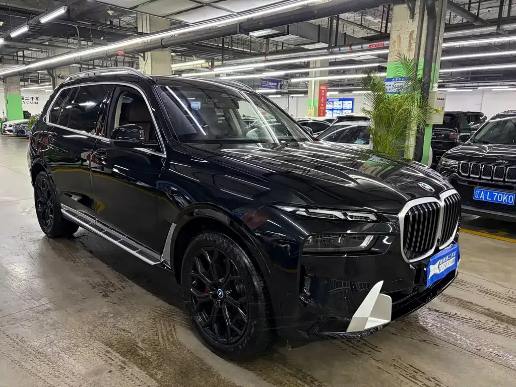 BMW X7 — фото 3