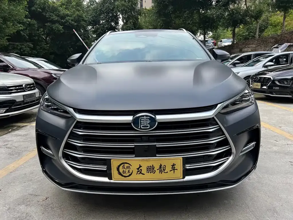 BYD Tang New Energy — фото 8