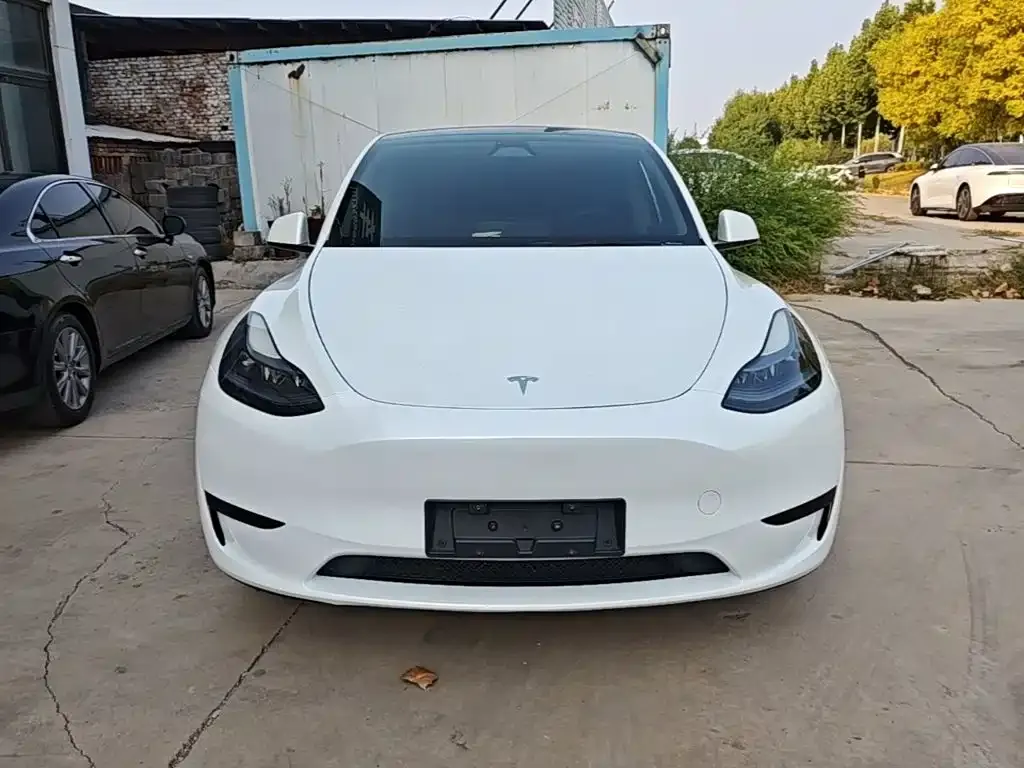 Tesla Model Y — фото 5