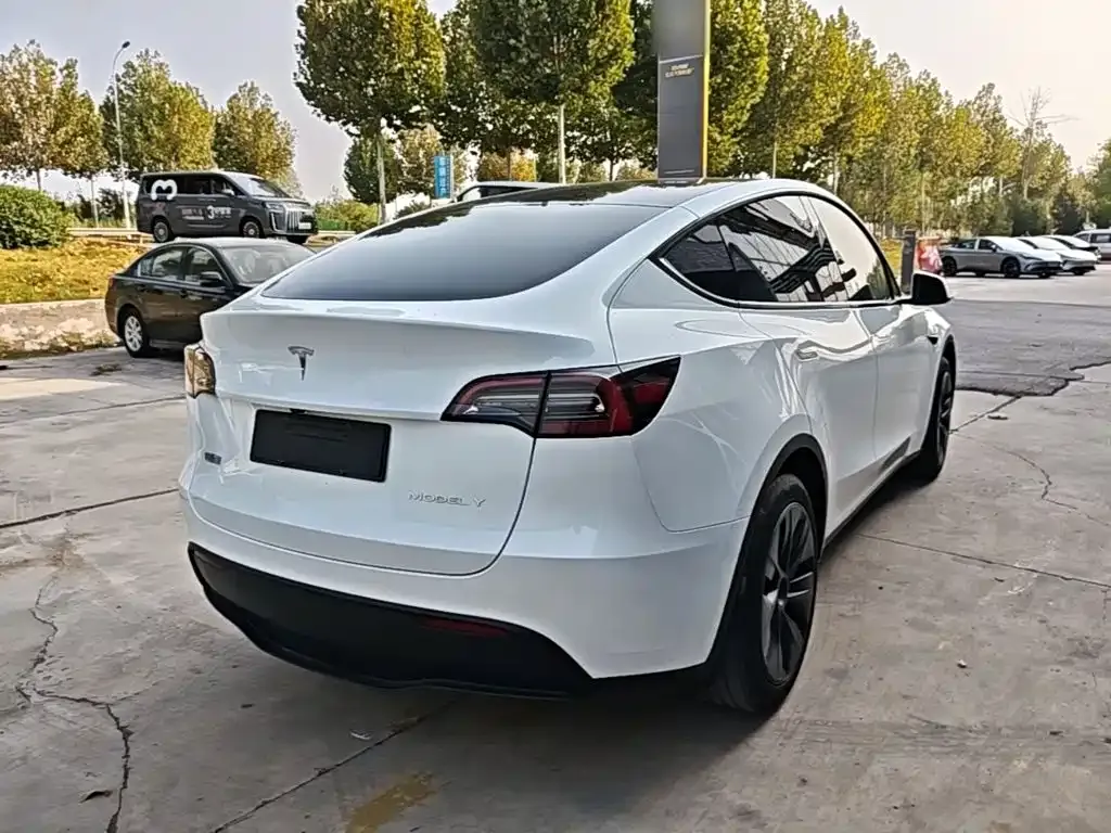 Tesla Model Y — фото 6