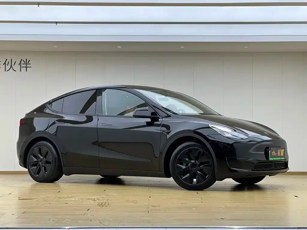 Tesla Model Y — фото 2
