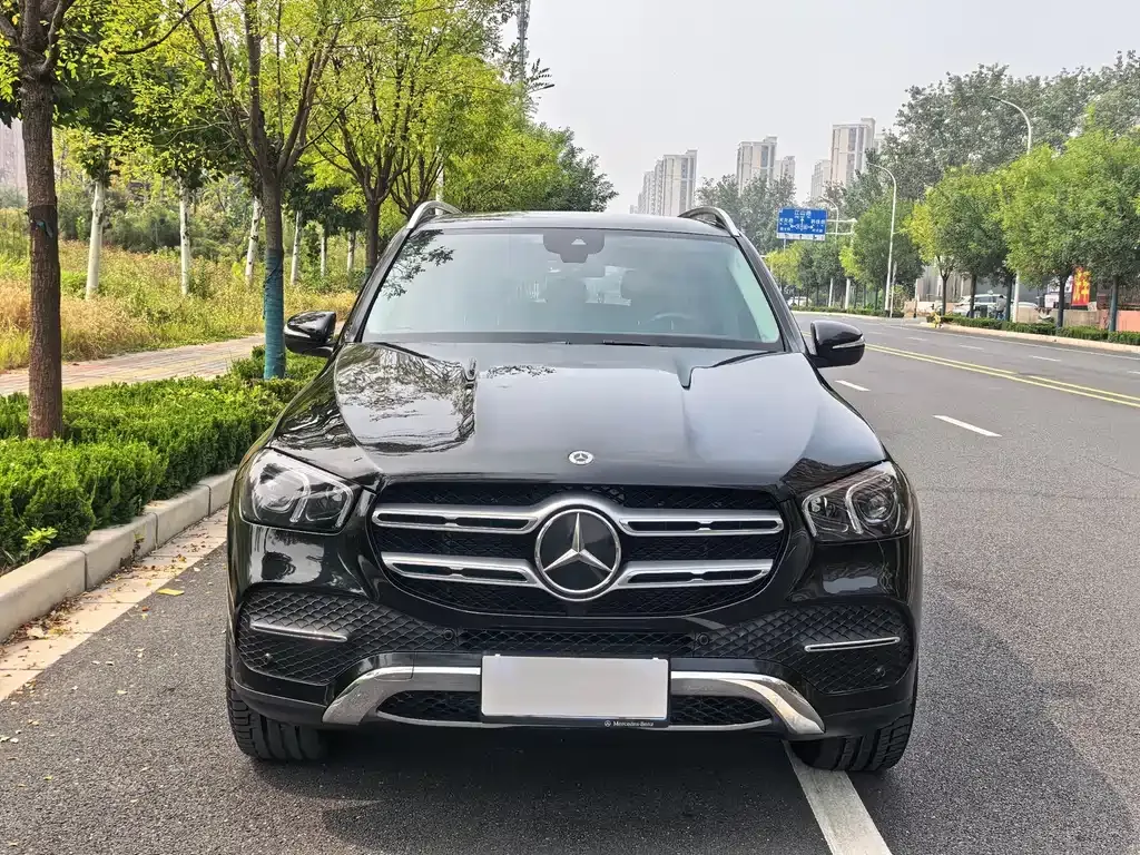 Mercedes-Benz GLE (Import) — фото 8
