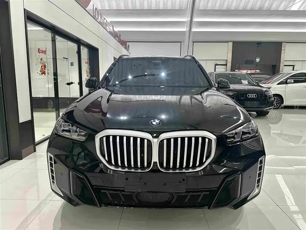 BMW X5 — фото 10