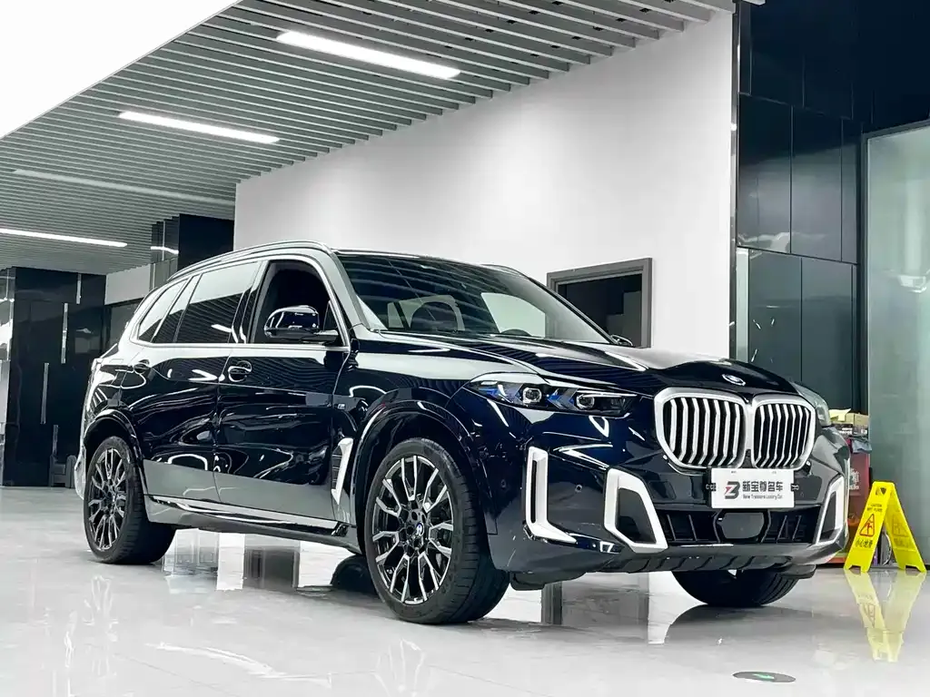 BMW X5 — фото 7