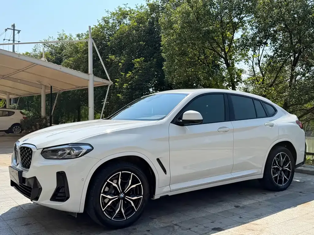 BMW X4 — фото 1